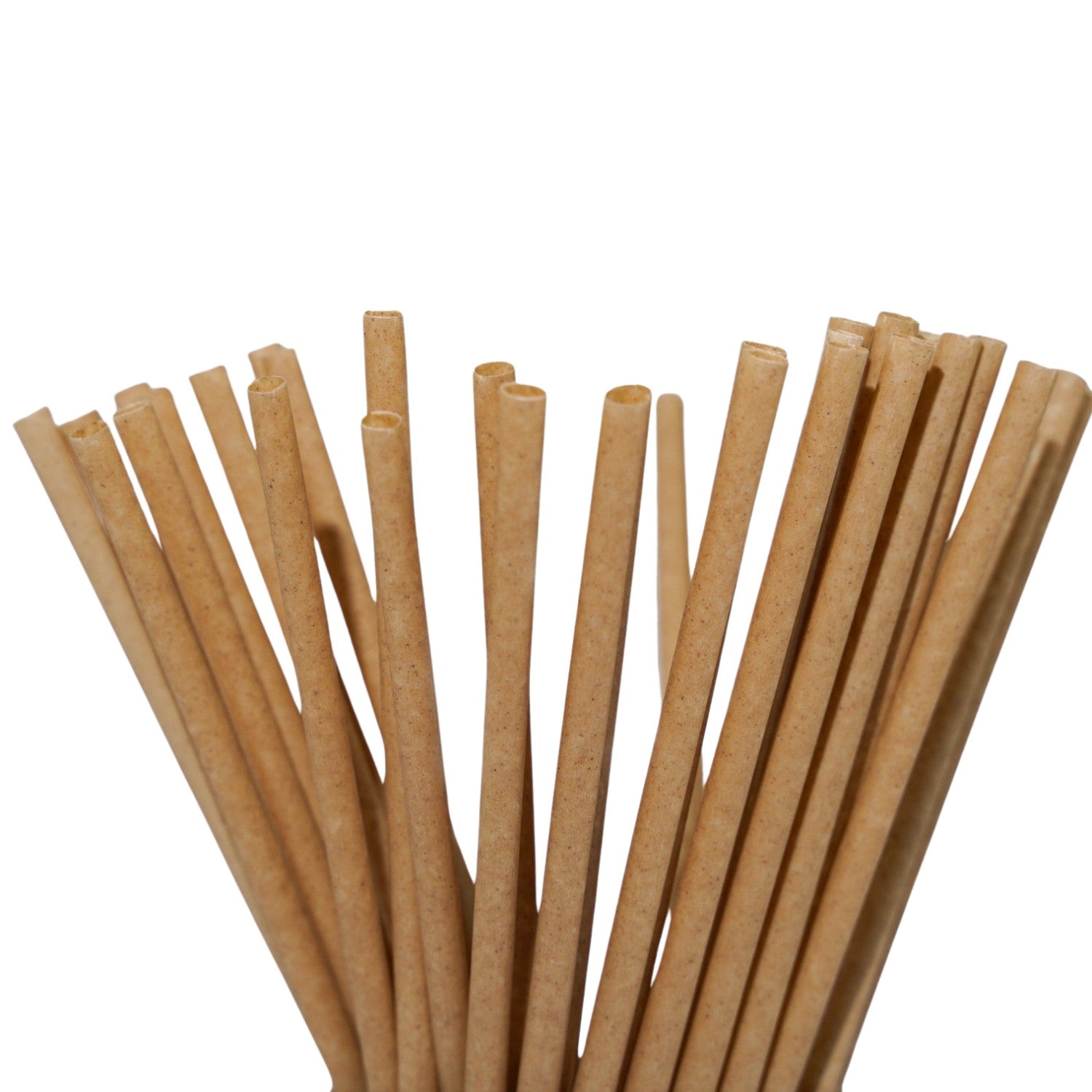 Sugarcane Bagasse Straws