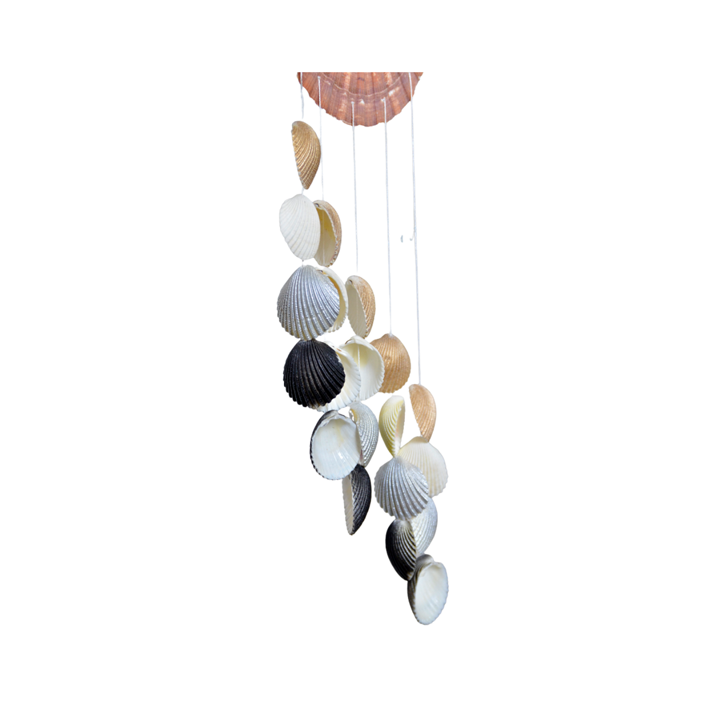 Sweet Shell Wind Chime 1