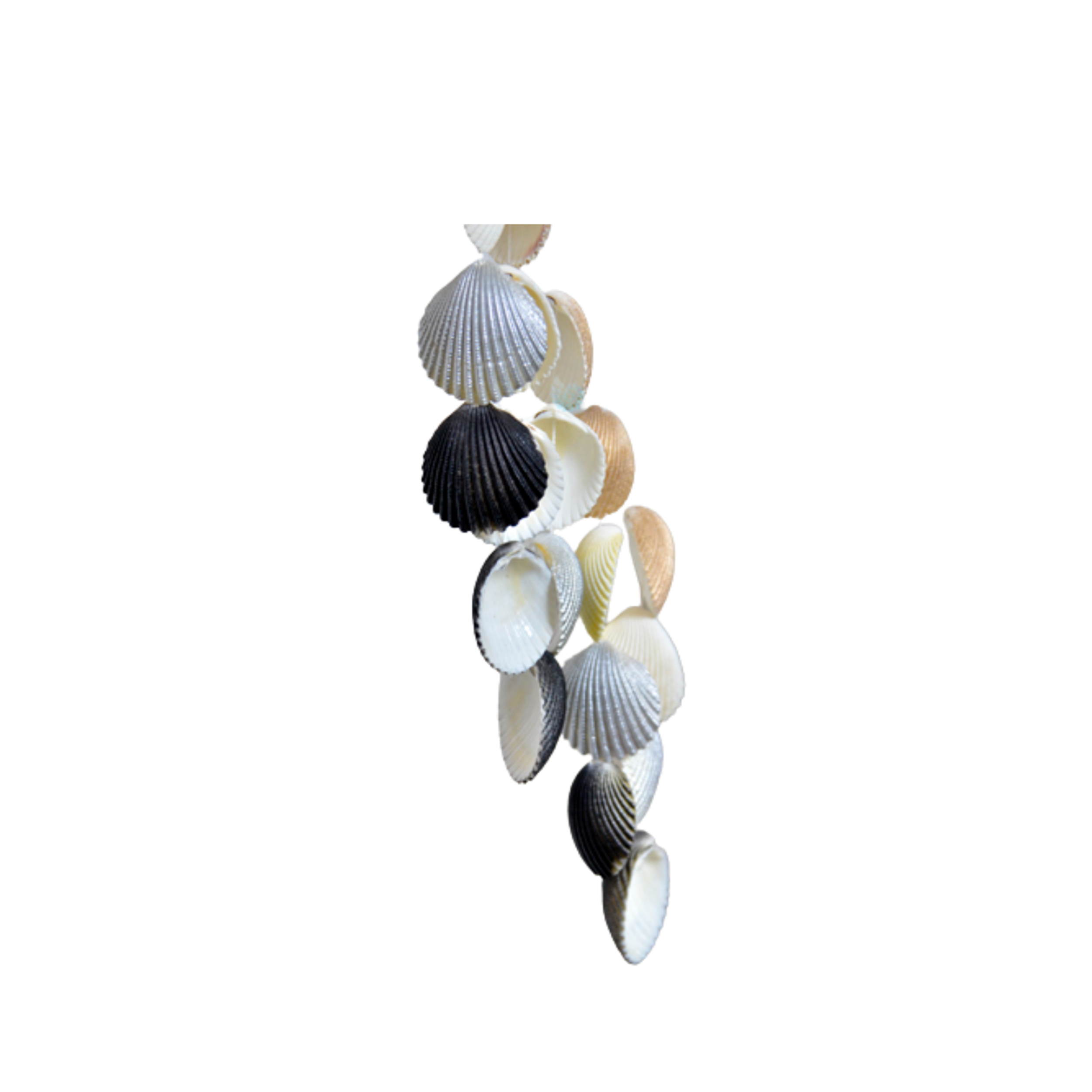 Sweet Shell Wind Chime 1