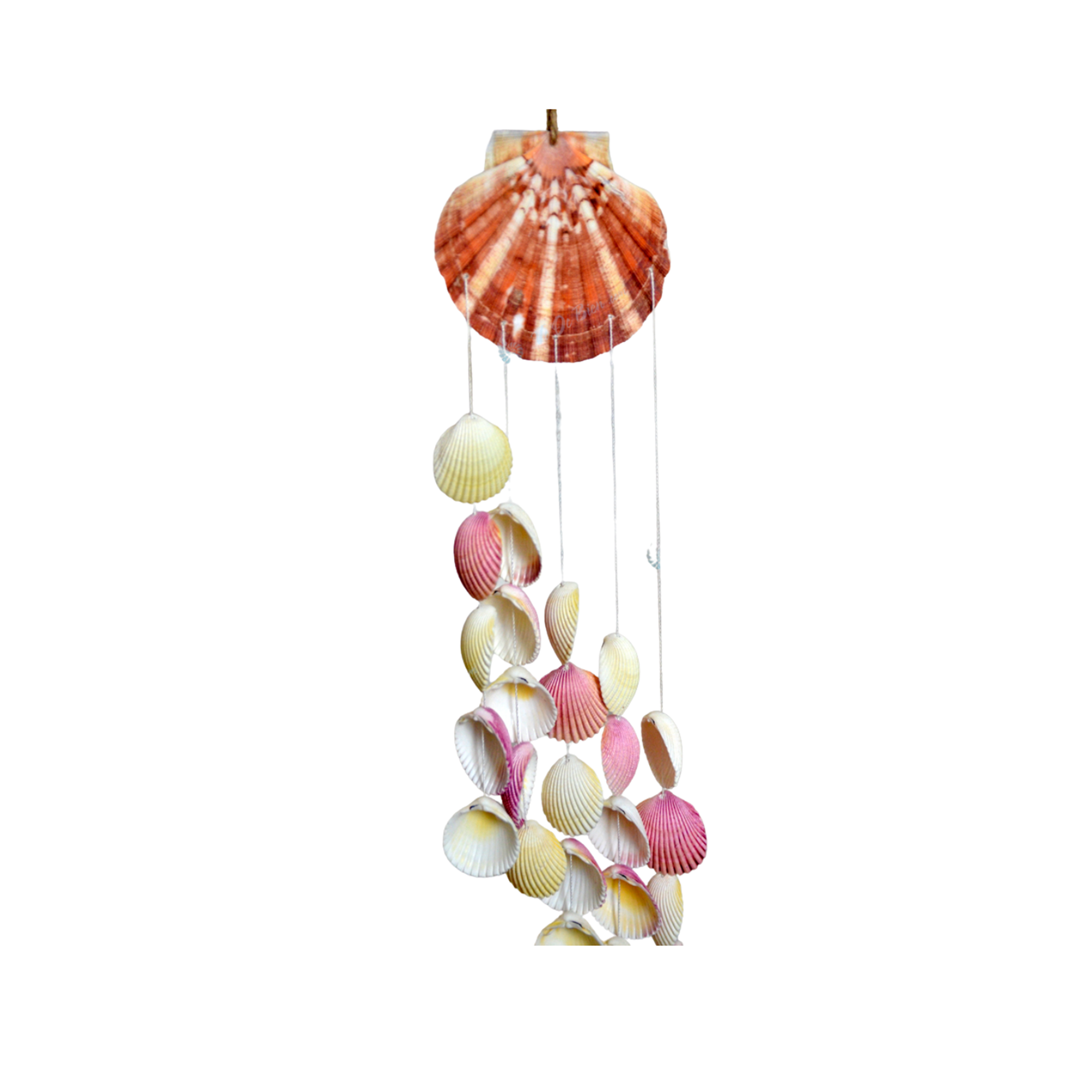 Sweet Shell Wind Chime 2