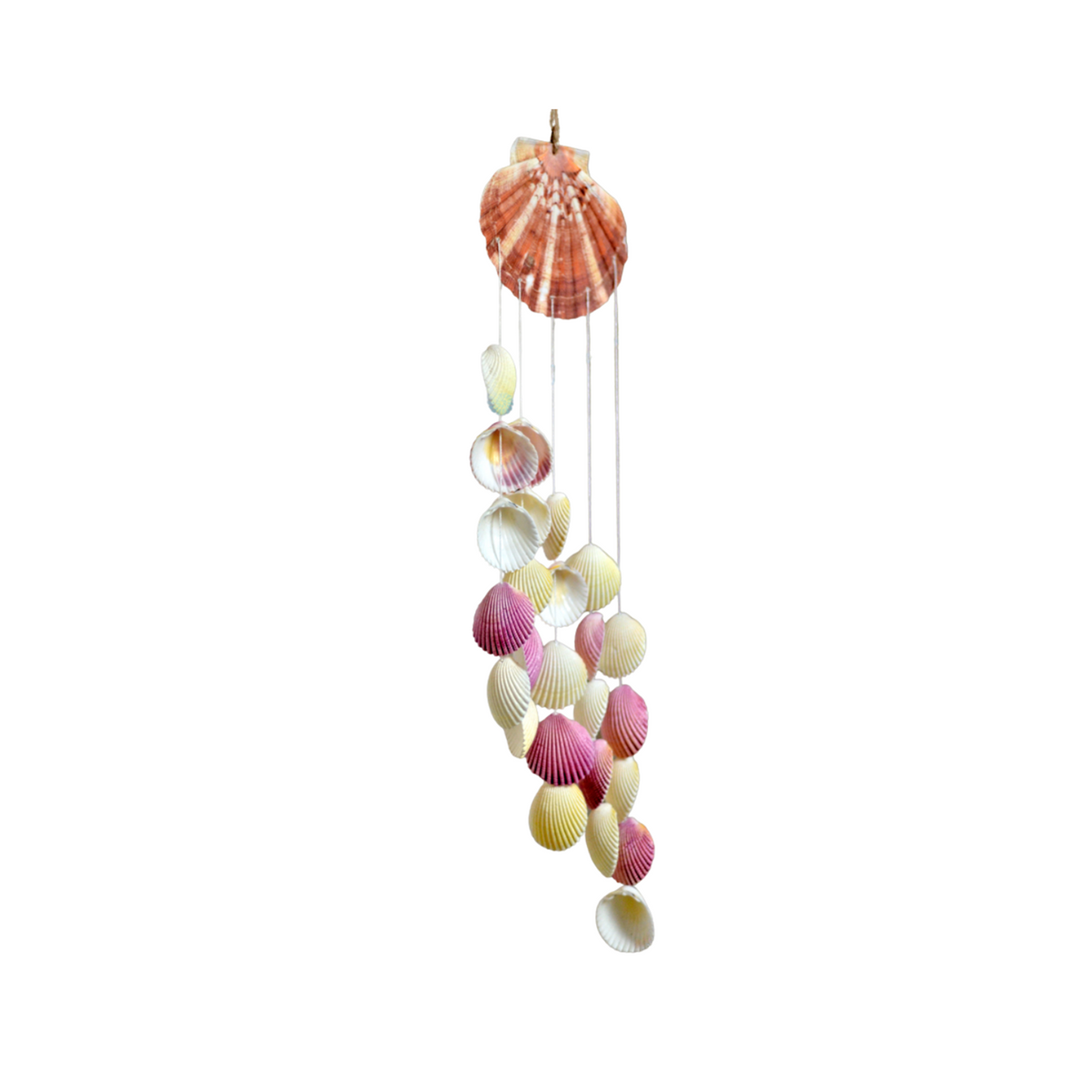 Sweet Shell Wind Chime 2