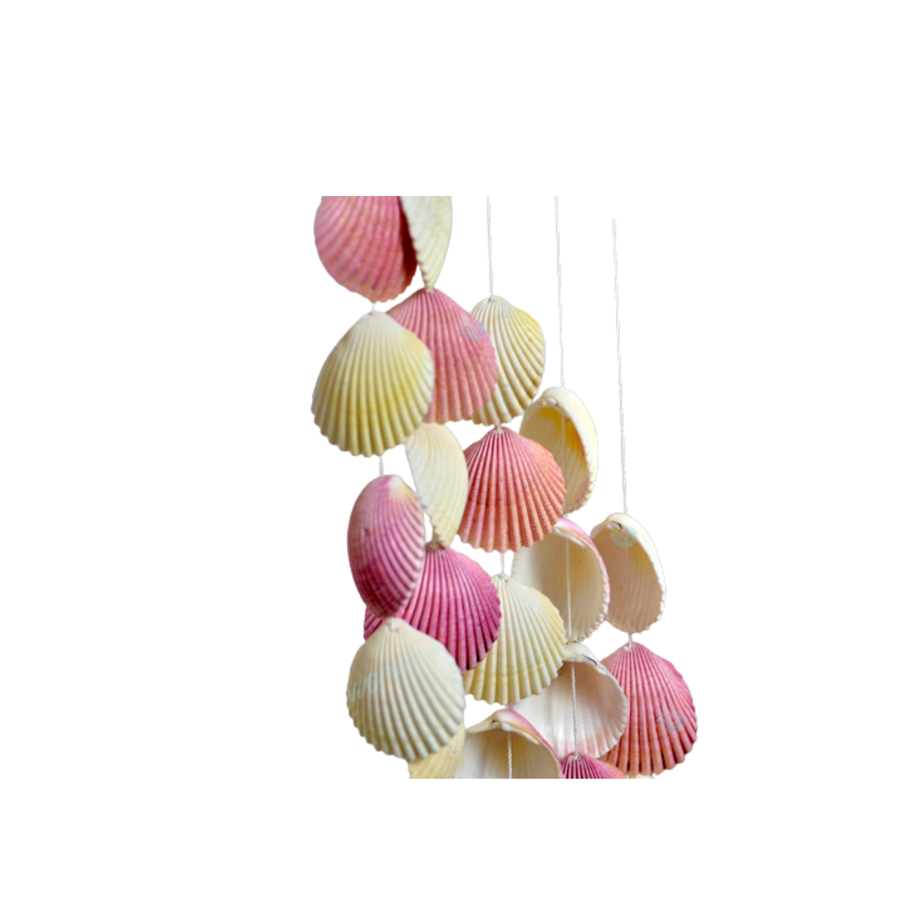 Sweet Shell Wind Chime 2