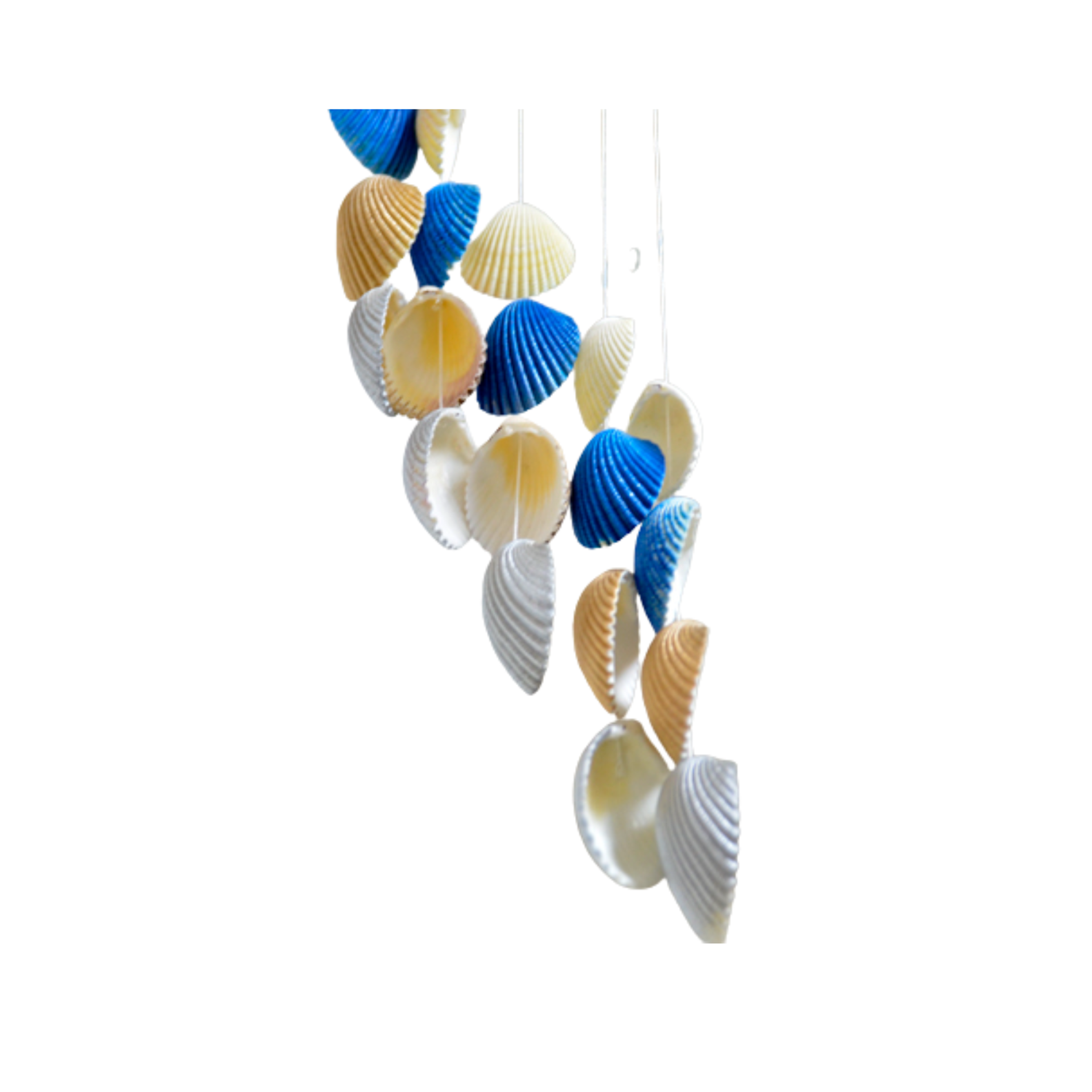 Sweet Shell Wind Chime