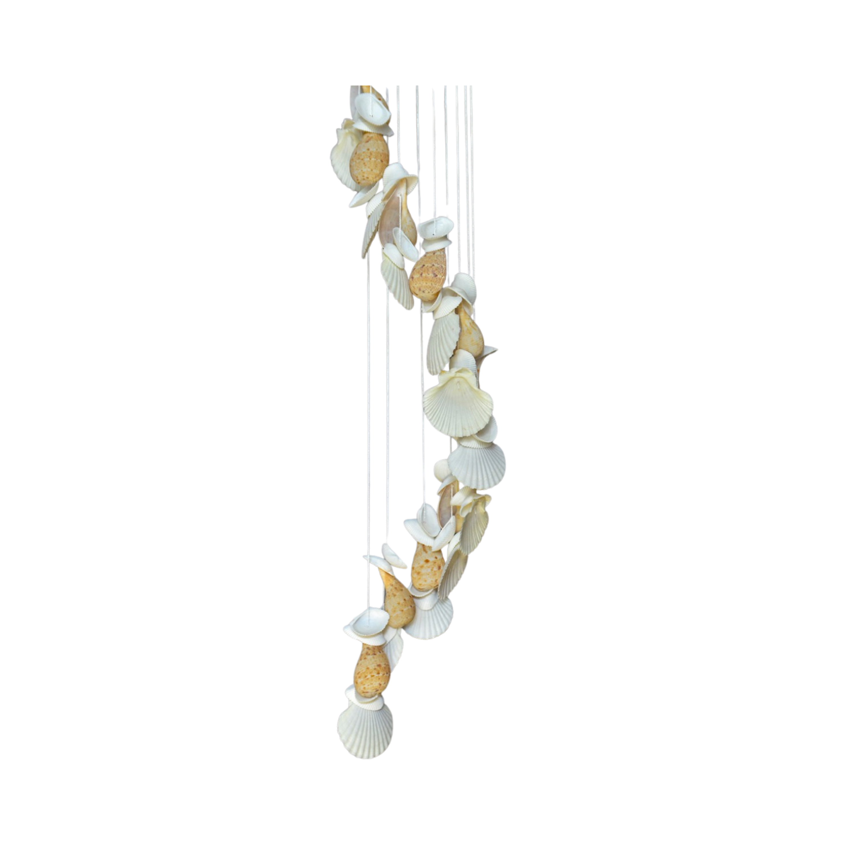 Sweet Seashell Wind Chime 3