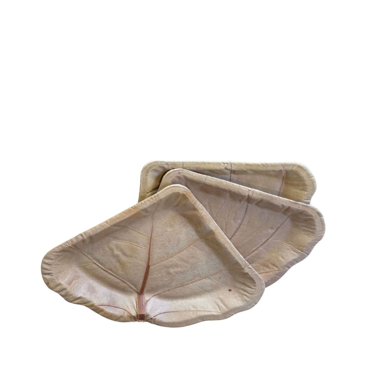 Triangular Sea Grape Leaf Dish