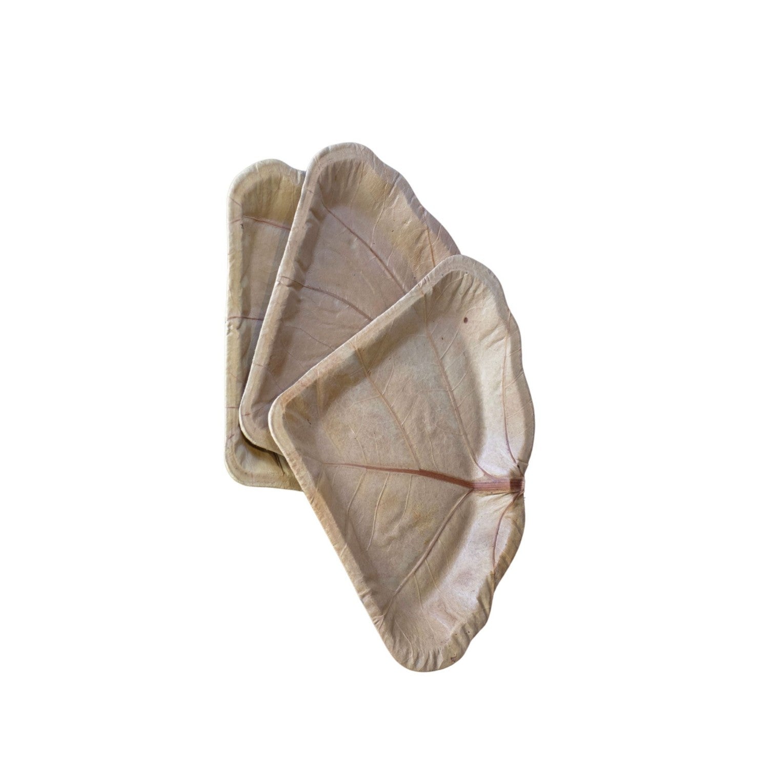Triangular Sea Grape Leaf Dish