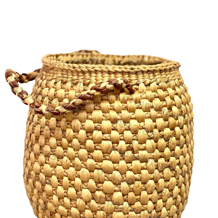 Water Hyacinth Bag
