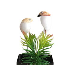 White Birds From Seashells