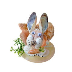 Wide Mouth Rabbit From Sea Snail Shell