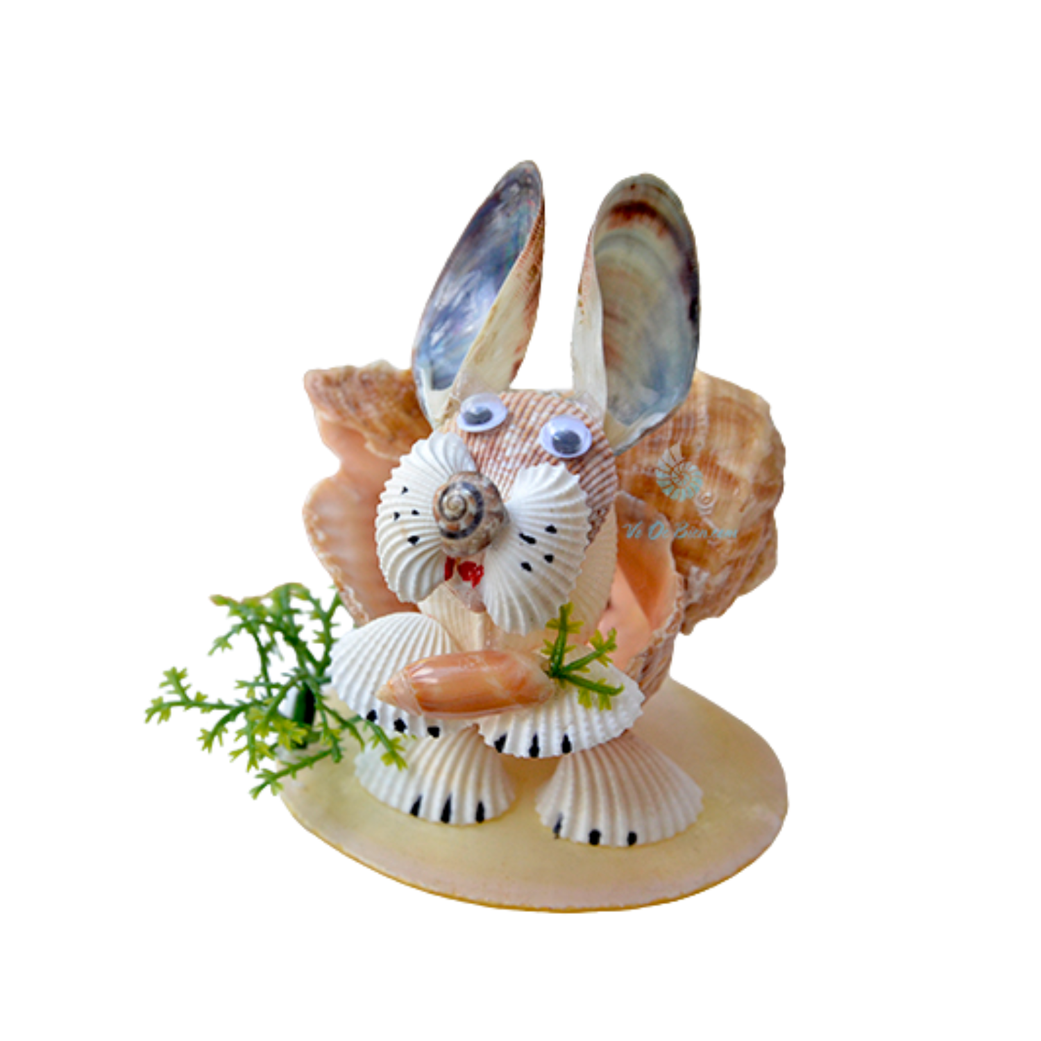 Wide Mouth Rabbit From Sea Snail Shell