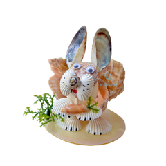 Wide Mouth Rabbit From Sea Snail Shell