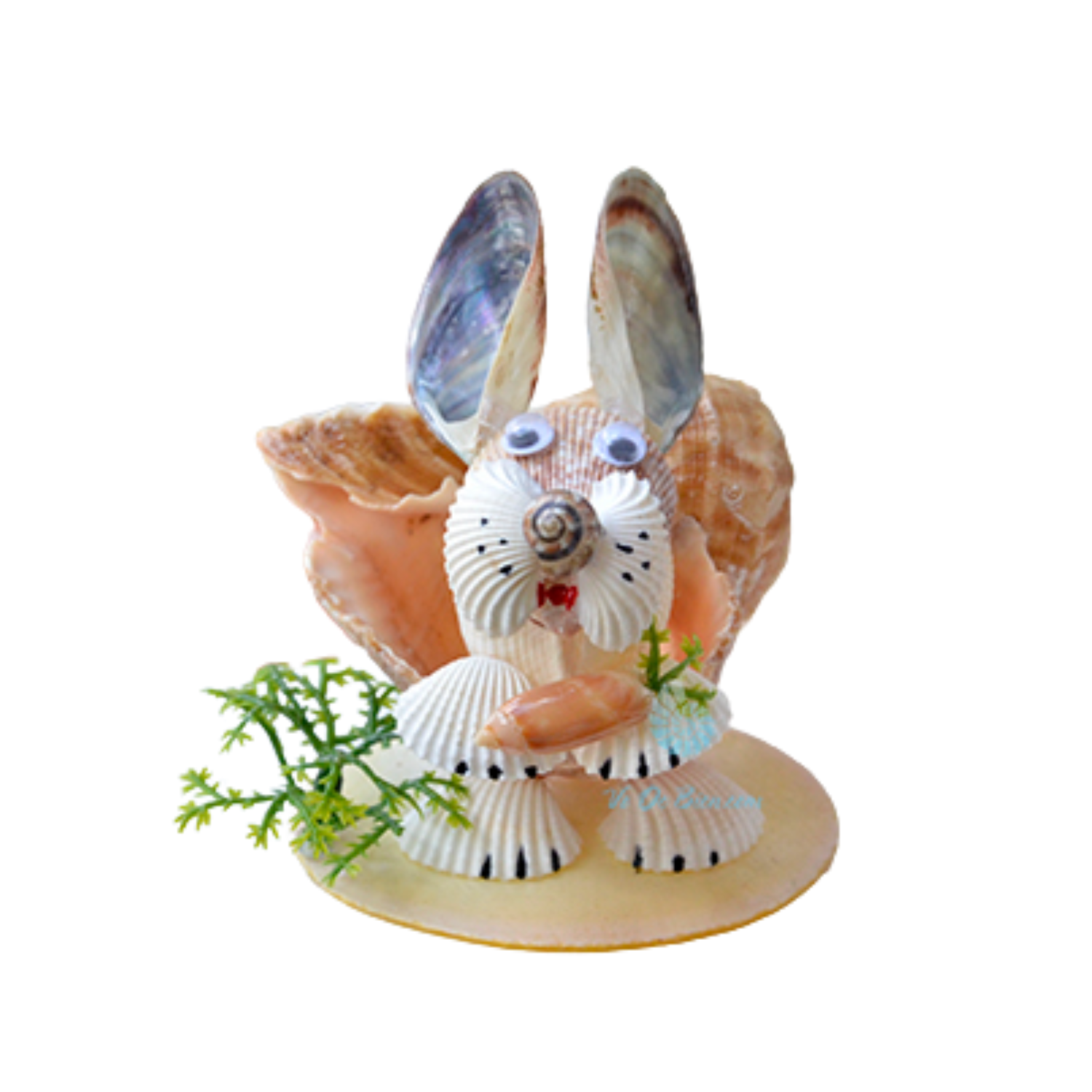 Wide Mouth Rabbit From Sea Snail Shell