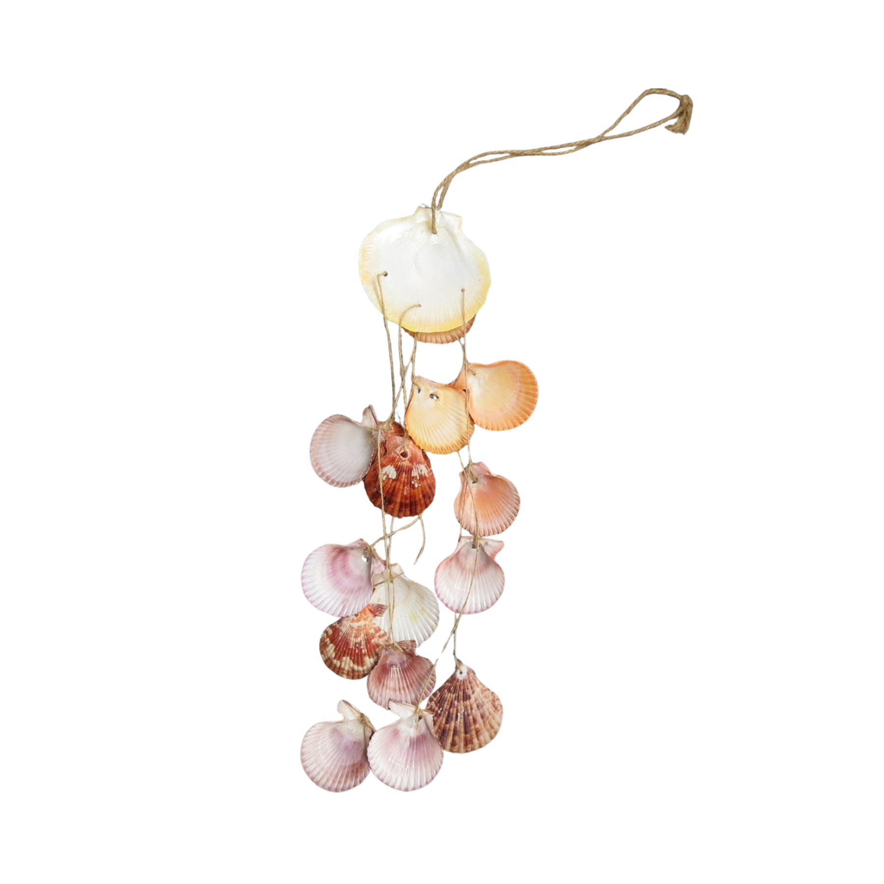 Wind Chimes Made From Seashells 3