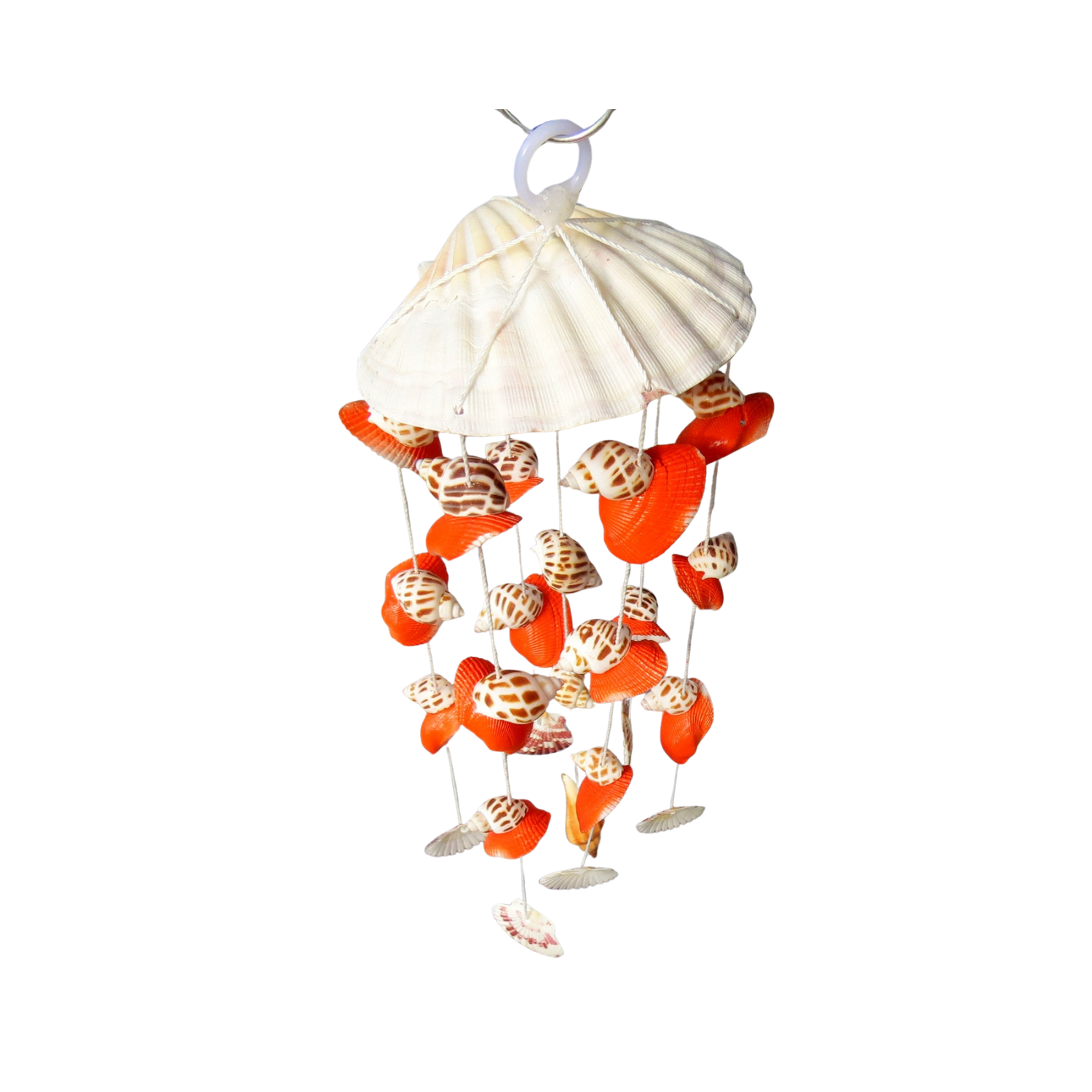 Wind Chimes Made From Seashells 4
