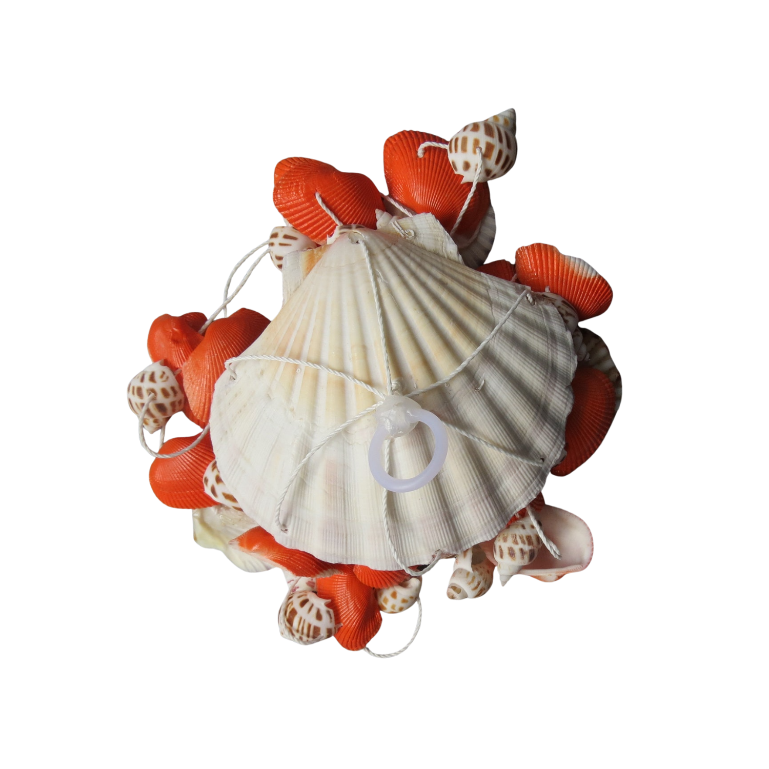 Wind Chimes Made From Seashells 4