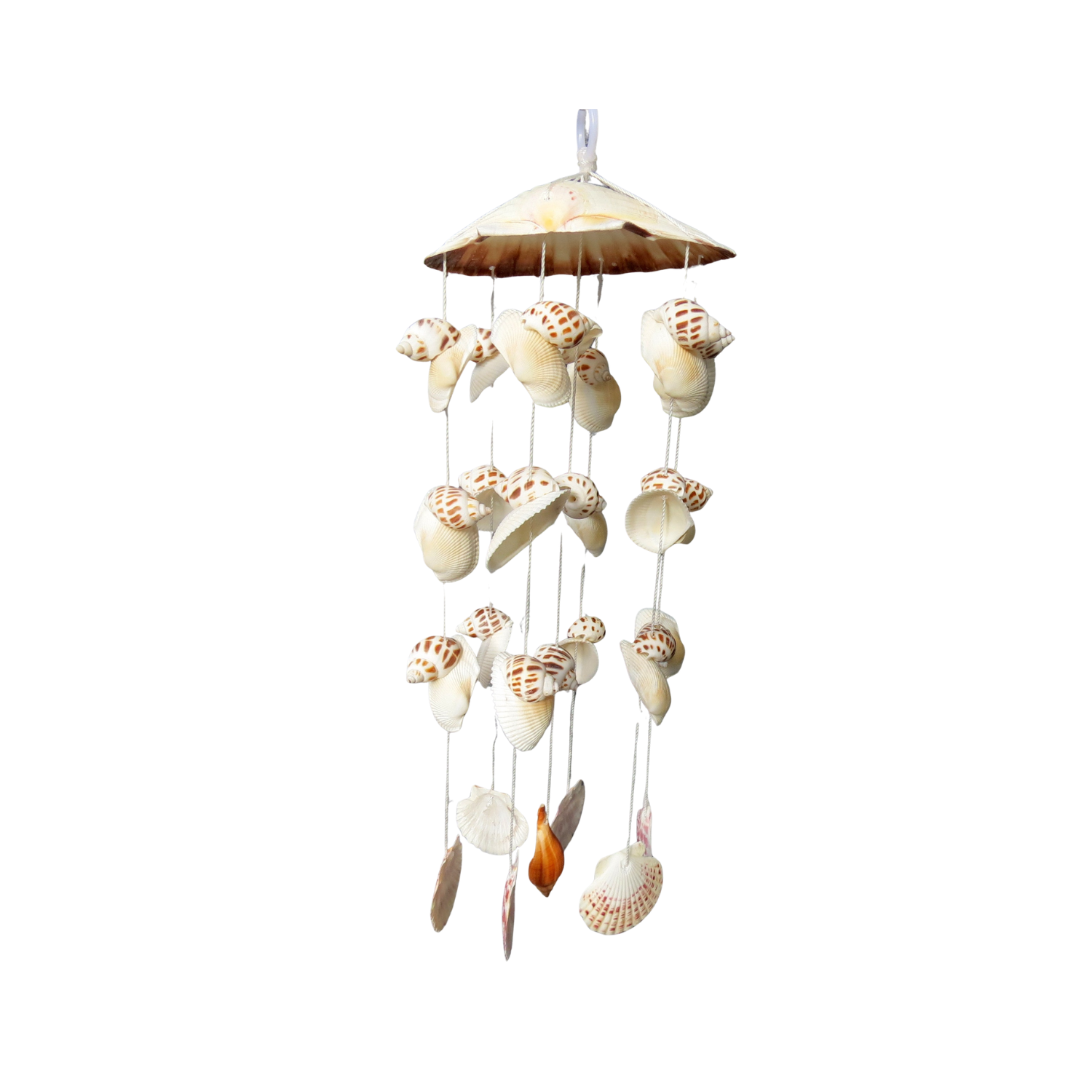 Wind Chimes Made From Seashells 5