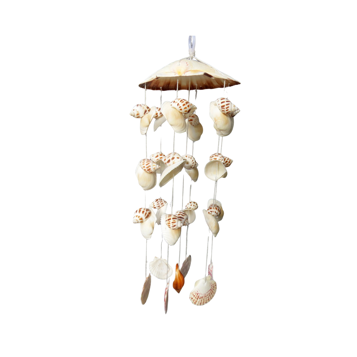 Wind Chimes Made From Seashells 5