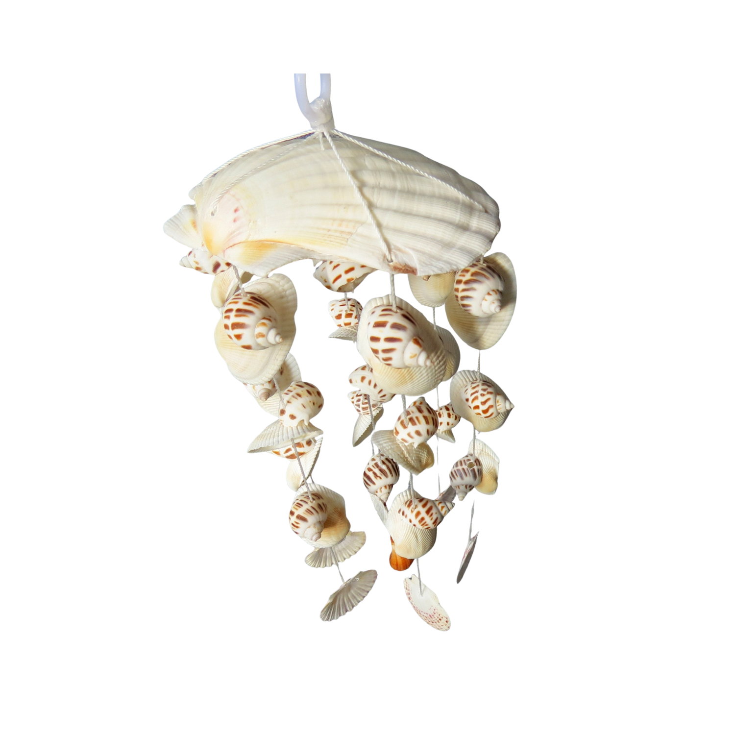 Wind Chimes Made From Seashells 5
