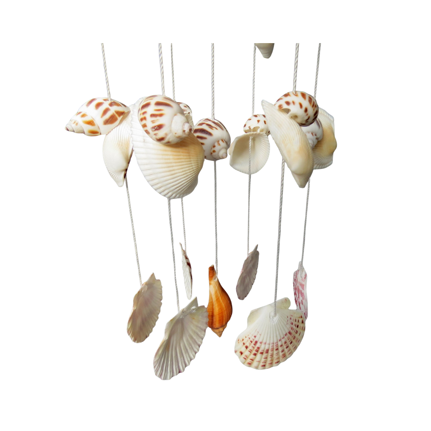 Wind Chimes Made From Seashells 5