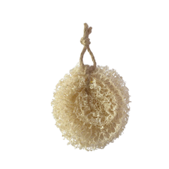 Loofah Used To Wash Dishes And Pots
